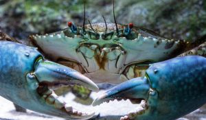 GandCrab ransomware defeated by Bitdefender decryption