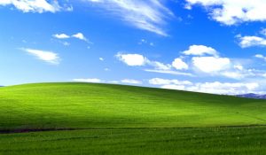 Windows XP Source Code Leaks Online