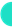 cyber security fundamentals green half dot